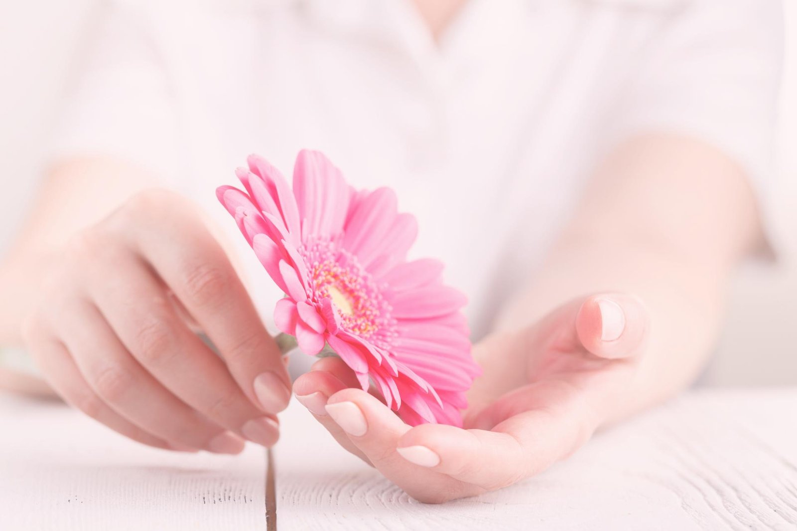 Roze bloem als symbool voor vruchtbaarheid en zwangerschap